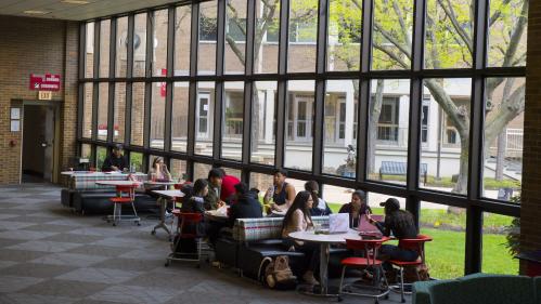 Students study in a large, windowed space.